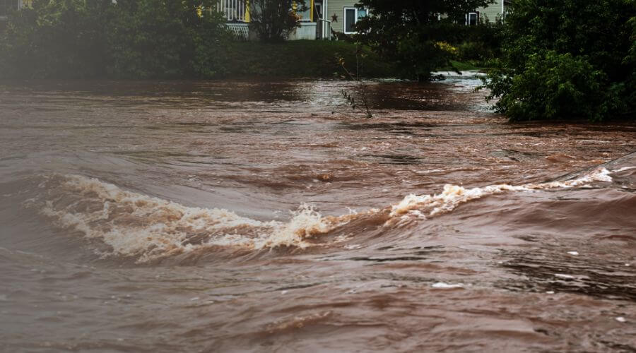 Why choose TideRevive Pros for water damage restoration in Pomona